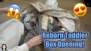Reborn Toddler Boy Box Opening! AMAZING Christmas Gift From Mia Maria's Nursery | Kelli Maple