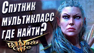 Все спутники в Baldur’s Gate 3 где их найти и как с ними взаимодействовать