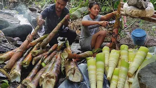 collecting Bamboo shoots for fermentation, one of the most important ingredient of northeast people.