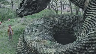 Humans and giant snakes become friends of life and death!