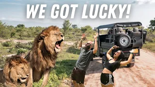 Our EPIC Safari Experience at Kruger National Park