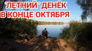 Рыбалка в Конце Октября.Есть ли еще рыба на мелководье?