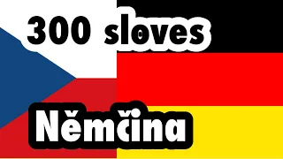 300 sloves + Čtení a poslech - Němčina + Čeština - (rodilý mluvčí)