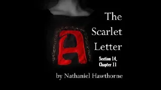 #audiobook -Section14, Chapter11-The Scarlet Letter by Nathaniel Hawthorne- #onlinenovel reading.