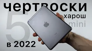 iPad mini 6 – дерьмо. Сравнение с iPad mini 5 (2019).