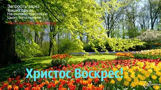 03.05.2021 Пасхальне служіння (Молодіжний хор)