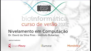 Curso de Verão em Bioinformática - USP | 2023 - Nivelamento Computação