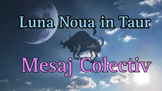 Luna Noua in Taur/Mesaj Colectiv