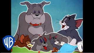 Tom und Jerry auf Deutsch | Das Freundschaftsdreieck | WB Kids