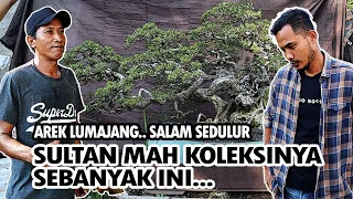 Berkunjung di Kediaman Wagito Kayangan || Koleksi Bonsai Sultan Mah Begini, Bikin Ngiler.. Part 1