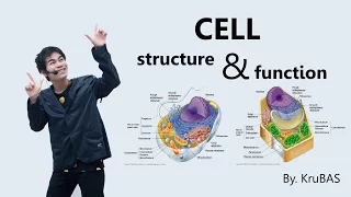 ชีววิทยาครูบาส เรื่อง cell structure and function #part1 plasma membrane and nucleus