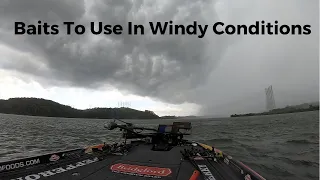 Baits To Use In Windy Conditions