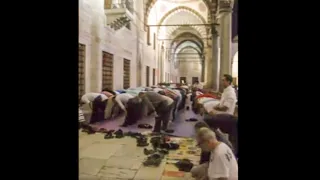 The Blue Mosque during Ramadan  Istanbul Turkey (men area) (Sultan Ahmed Mosque)