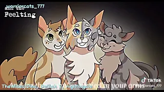 Warrior Cats TikTok Compilation 9 | Flash, blood, and Gore warning ⚠️