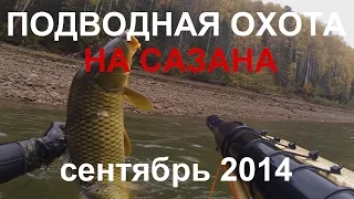 Подводная охота на сазана на КВХ залежке 27.09.2014