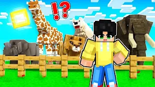 ZOO in Minecraft PE with MABABANGIS na ANIMALS | Minecraft PE