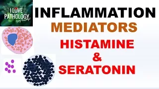 INFLAMMATION Part 4: Chemical Mediators- HISTAMINE & SEROTONIN