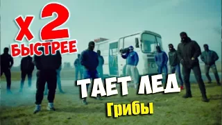 🔥 Грибы - Тает Лёд ➜ В 2 РАЗА БЫСТРЕЕ