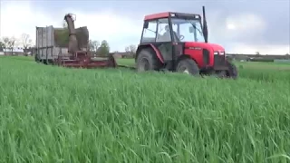 Żyto Na Kiszonkę 2017 3x Ursusy Zetor New Holland