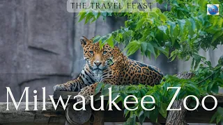 Milwaukee County Zoo | Walking Tour | Travel Guide | What to see inside zoo in Milwaukee | 4k HDR