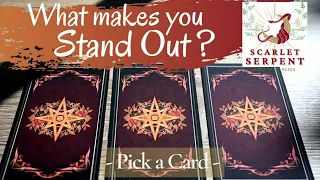 What makes you stand out? - Timeless Pick a Card Tarot-