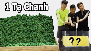 PHD | Thí Nghiệm Vắt 100Kg Chanh Được Bao Nhiêu Lít Nước Chanh? | 100Kg Lemon