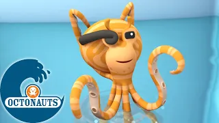 Octonauts - La pieuvre mimétique et le baliste| Dessins animés pour enfants