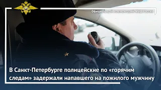 Ирина Волк: В Санкт-Петербурге полицейские по «горячим следам» задержали напавшего на пенсионера
