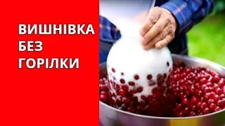 🔴 УКРАИНСКАЯ ВИШНЕВКА. Хороший рецепт без водки. @NEWSplusUA