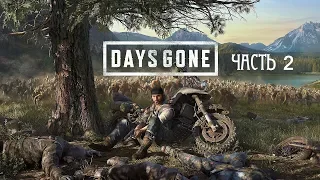 Жизнь после ( DAYS GONE) прохождение ps4 ЧАСТЬ 2 на русском