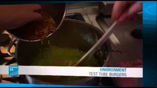 FRANCE 24 Environment - Test tube burgers