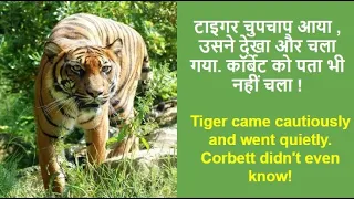 Chuka Man-Eater || Jim Corbett || Temple Tiger || Man-Eaters of Kumaon || Man-Eater Hunting