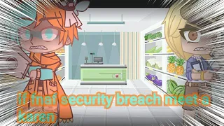 if fnaf security breach meet a karen