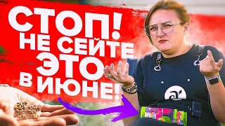 ОСТАНОВИТЕСЬ! ЭТО НЕЛЬЗЯ СЕЯТЬ В ИЮНЕ