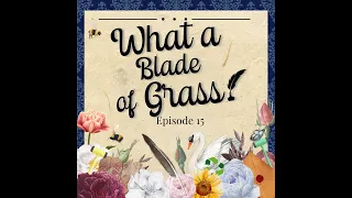 What a Barb! Episode 15 – What a Blade of Grass! [S2E3 Rewatch]
