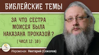 ЗА ЧТО СЕСТРА МОИСЕЯ БЫЛА НАКАЗАНА ПРОКАЗОЙ ? (Чис.12:10)  Иеромонах Нектарий (Соколов)