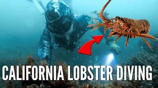 California Lobster Diving {My First Time!}