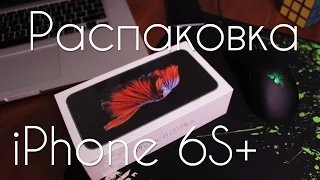 Распаковка новенького iPhone 6S Plus и первый взгляд