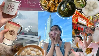 𝗧𝗪｜台灣6天5夜之旅🇹🇼、九份十分一日遊、油炸臭豆腐、宜蘭一日遊、台灣鼎泰豐｜旅遊vlog