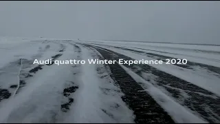 Audi quattro Winter Experience 2020: зима, которую невозможно забыть