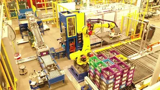 Automated Tote Packing Cell Short Form