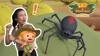 🕷 Laba-laba punggung merah 🕷 | Leo Si Penjaga Alam | #minisode