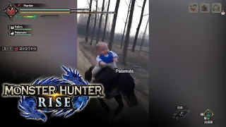 Monster Hunter Rise be like