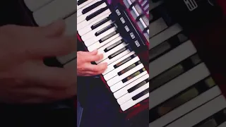 "Chardash" musical accordion