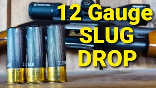 12 Gauge Slug Drop - Demonstrated and Explained