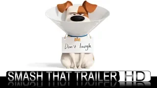 The Secret Life of Pets 2 - The Gidget