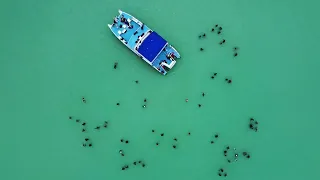 Isla Saona - Parque Nacional Cotubanamá - Provincia La Altagracia - República Dominicana