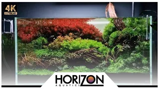 90cm 3ft ADA 90p Aquascape Created by James Farrand watch in 4K