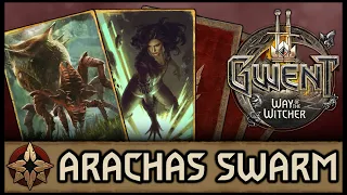 [GWENT] SWARM IS BACK! - Way of the Witcher