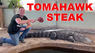 Feeding My Alligators GIANT STEAKS!!!